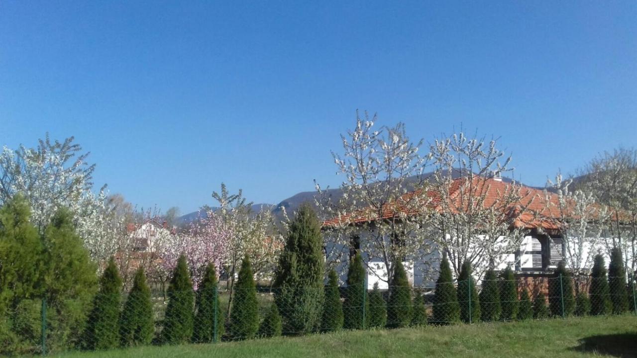 House Milovanovic Sokobanja Zewnętrze zdjęcie