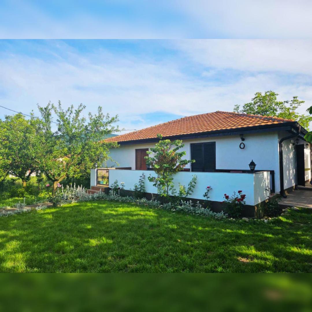 House Milovanovic Sokobanja Zewnętrze zdjęcie